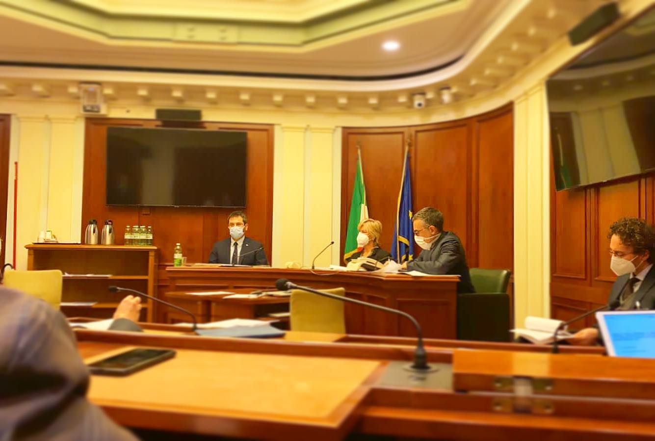 Angelo Tofalo in 4^ Commissione Difesa discussione del 16122020
